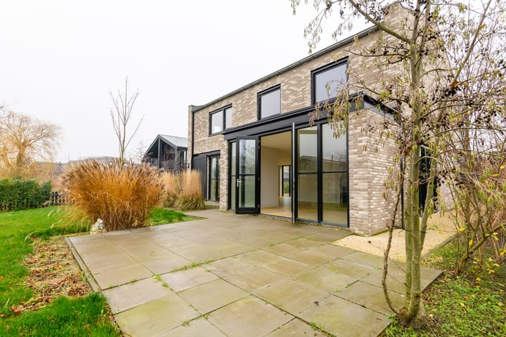 Foto 29 van Groene kikker 2