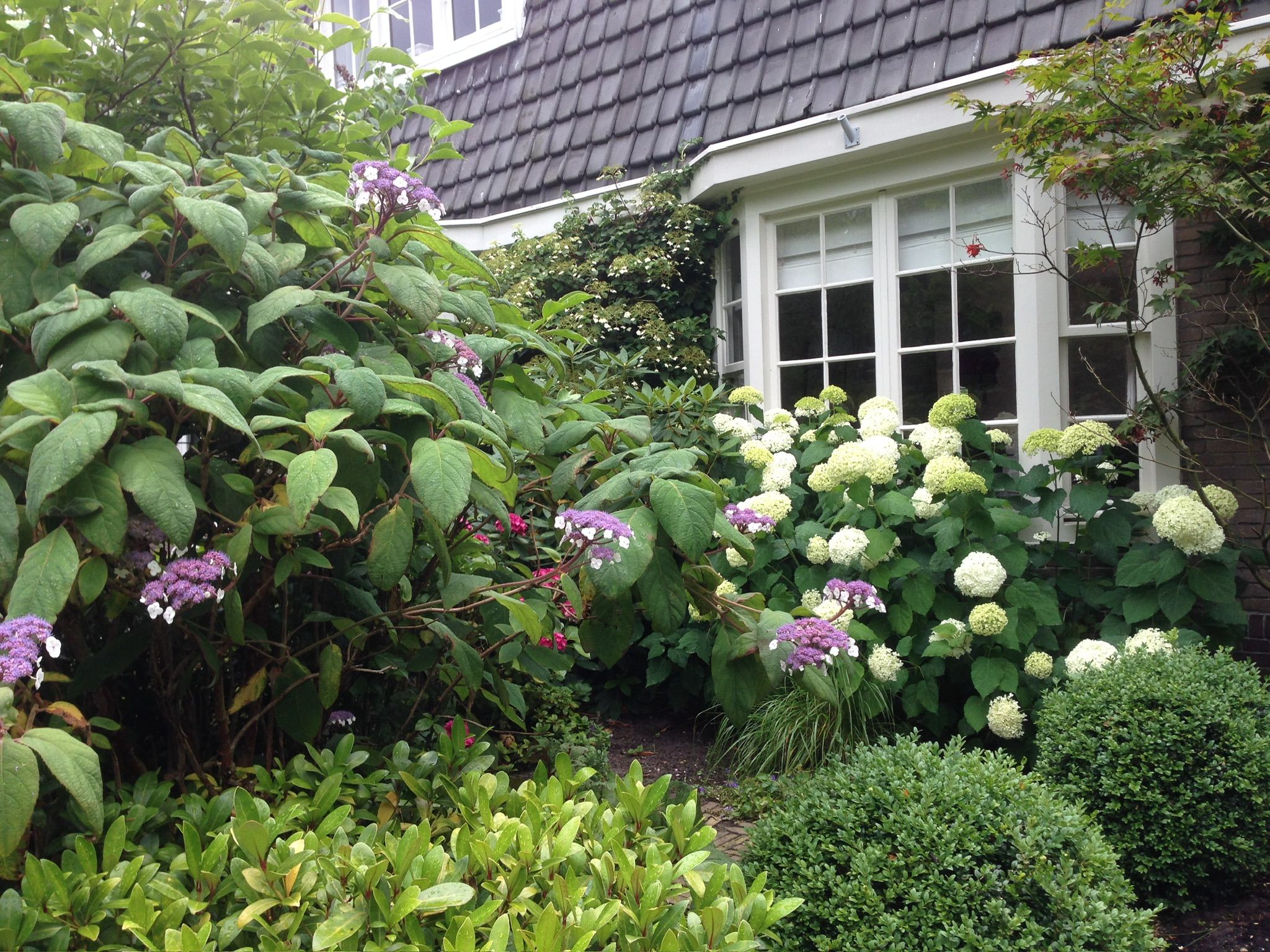 Photo 36 of Koningslaan 21-A