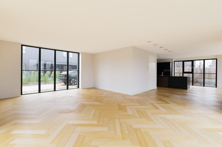 Foto 3 van Groene kikker 2