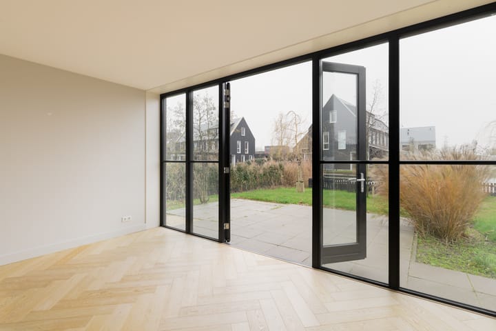 Foto 8 van Groene kikker 2