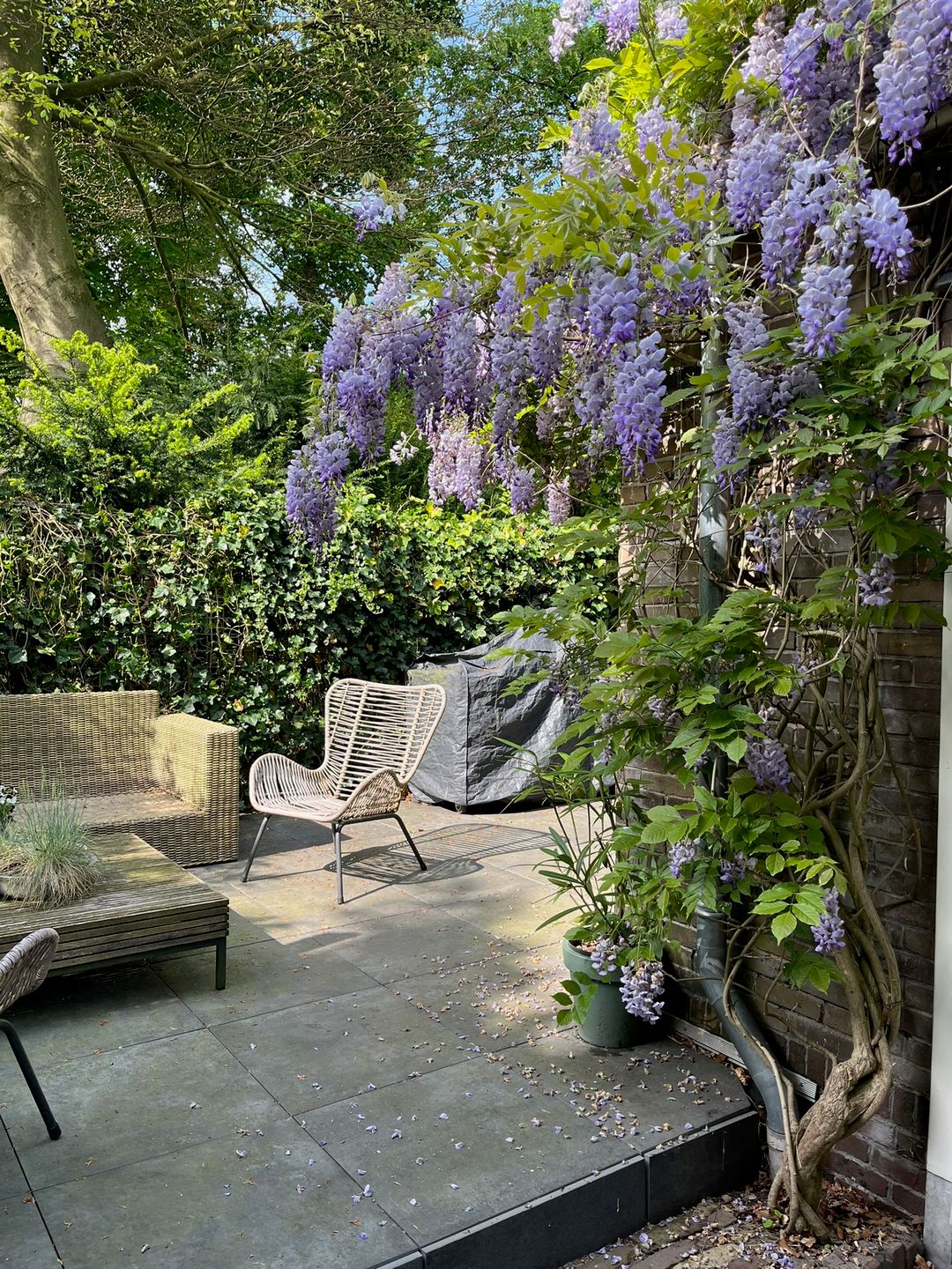 Photo 43 of Koningslaan 21-A