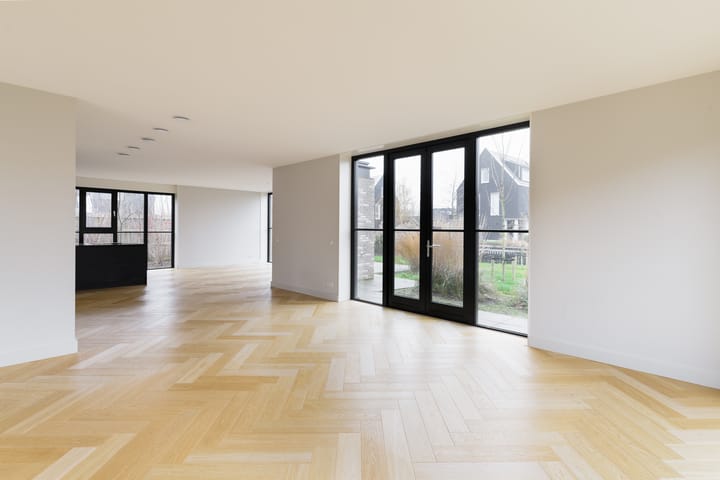 Foto 4 van Groene kikker 2