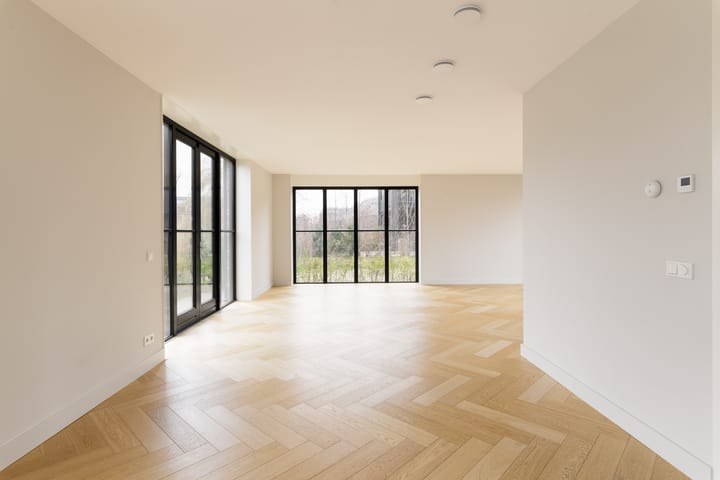 Foto 6 van Groene kikker 2