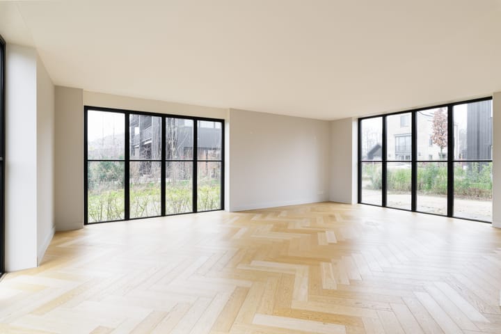 Foto 5 van Groene kikker 2