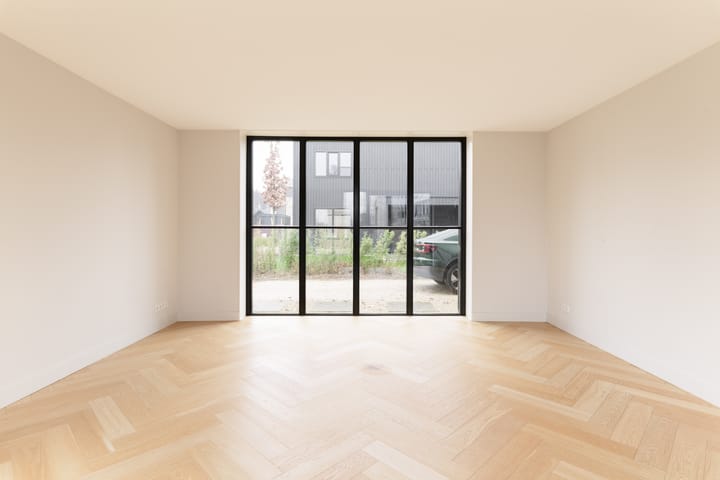 Foto 7 van Groene kikker 2