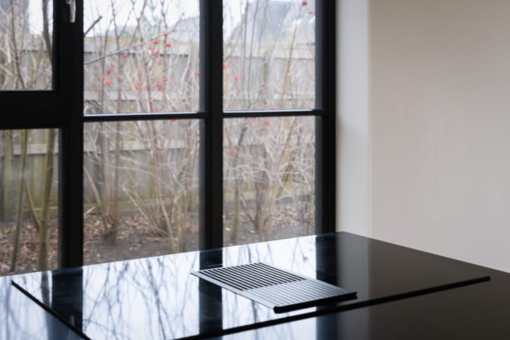 Foto 13 van Groene kikker 2