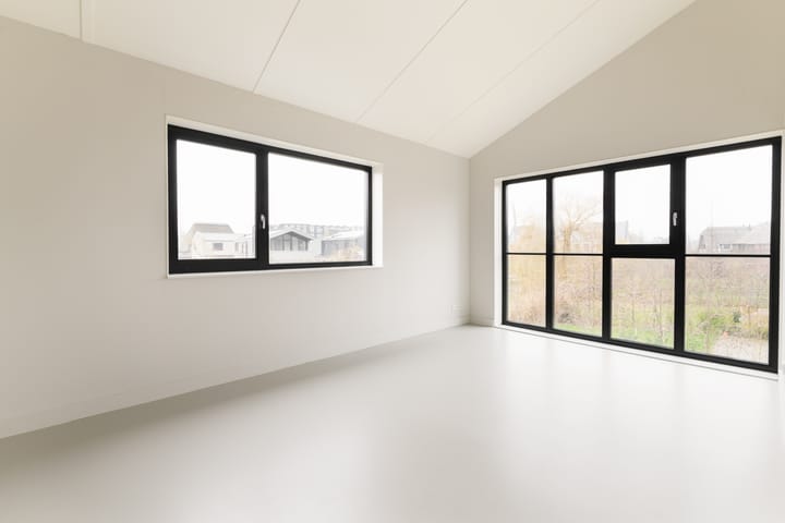 Foto 15 van Groene kikker 2