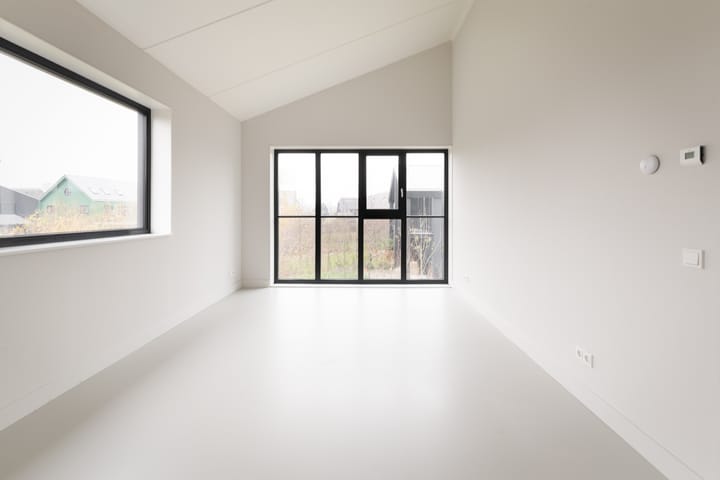 Foto 16 van Groene kikker 2