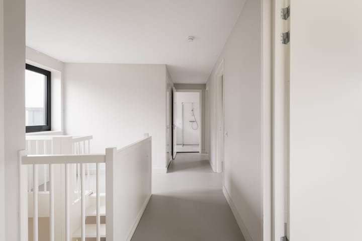 Foto 17 van Groene kikker 2