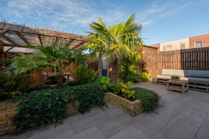 Foto 49 van Bosgouw 318