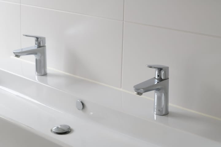 Foto 20 van Groene kikker 2