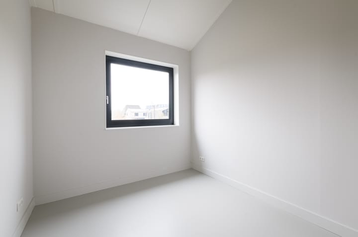 Foto 21 van Groene kikker 2