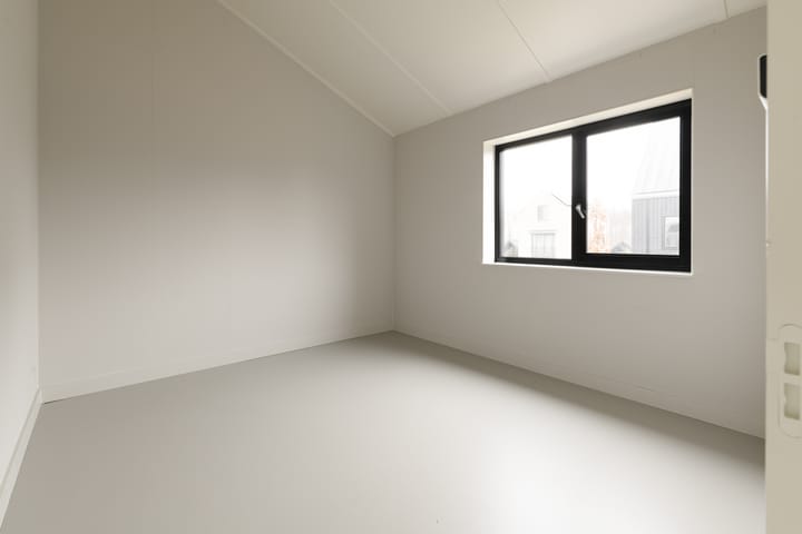 Foto 22 van Groene kikker 2