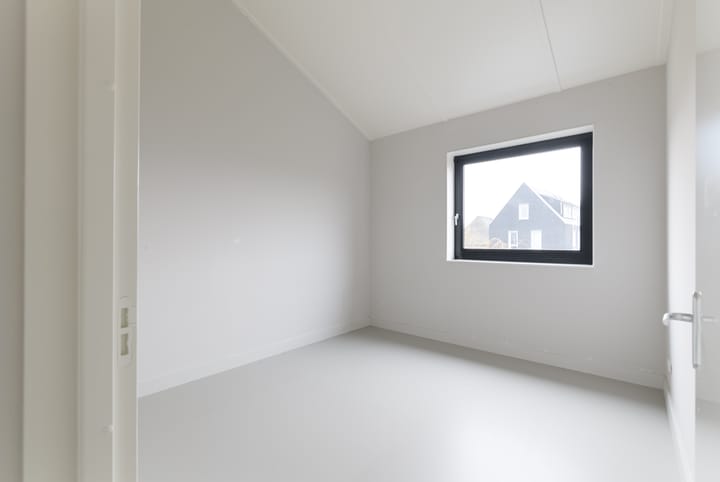 Foto 23 van Groene kikker 2