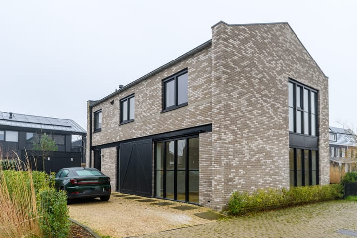 Foto 27 van Groene kikker 2