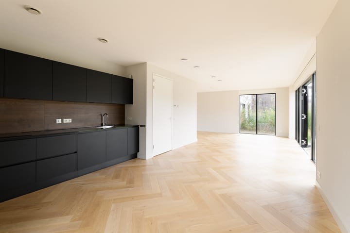 Foto 2 van IJsvogel 4