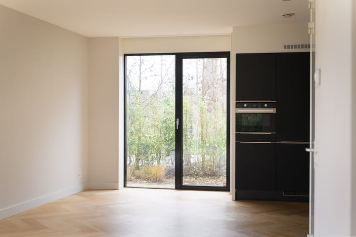 Foto 6 van IJsvogel 4