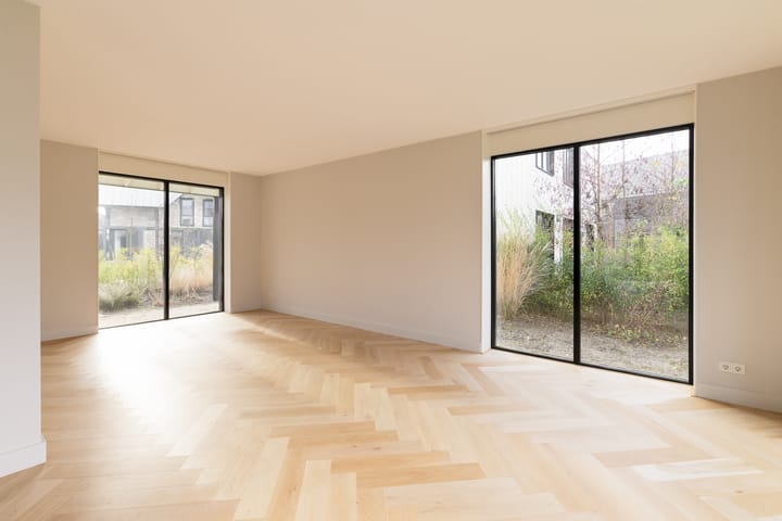 Foto 7 van IJsvogel 4