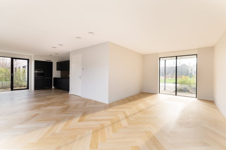 Foto 9 van IJsvogel 4