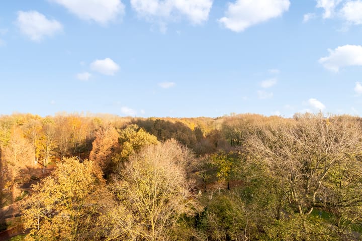 Foto 31 van Nachtwachtlaan 470