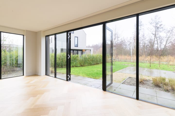 Foto 12 van IJsvogel 4