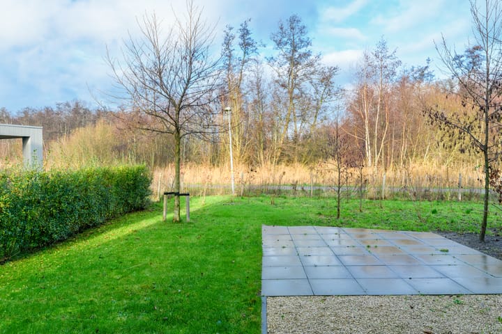 Foto 15 van IJsvogel 4