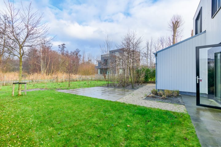 Foto 17 van IJsvogel 4