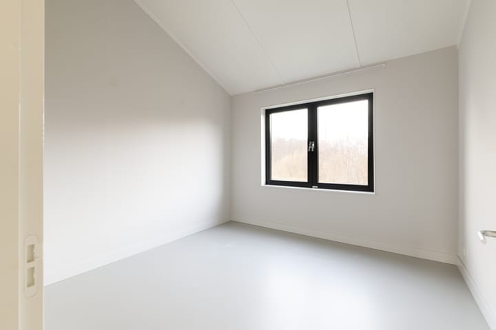 Foto 21 van IJsvogel 4