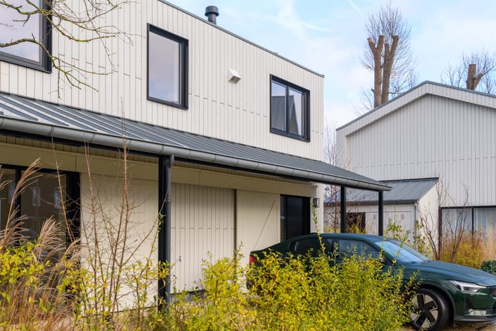 Foto 30 van IJsvogel 4