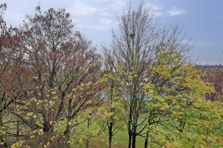 Photo 31 of Schieweg 100-C03