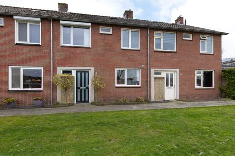 undefined main image