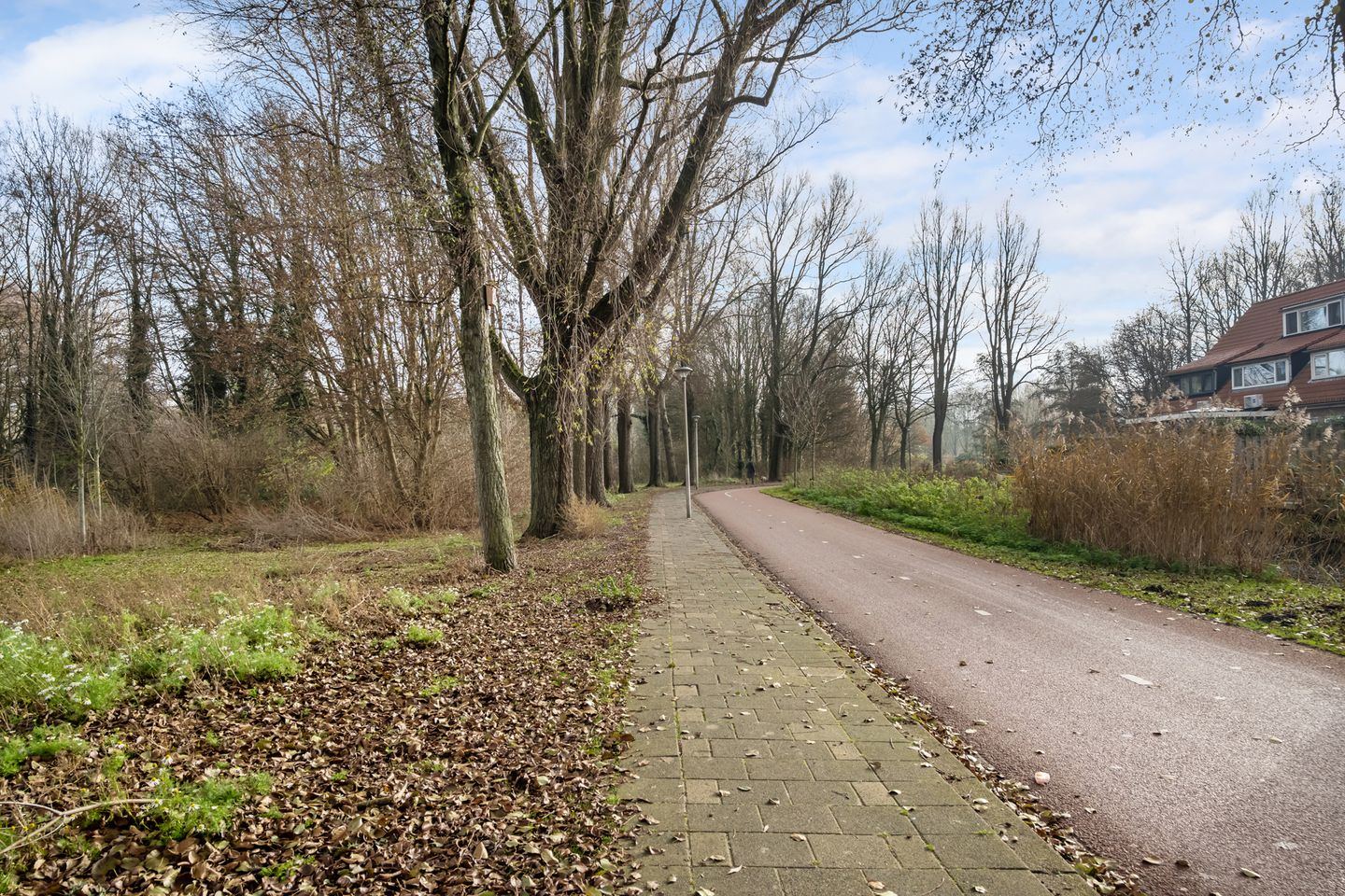 Foto 34 van Vuurdans 98