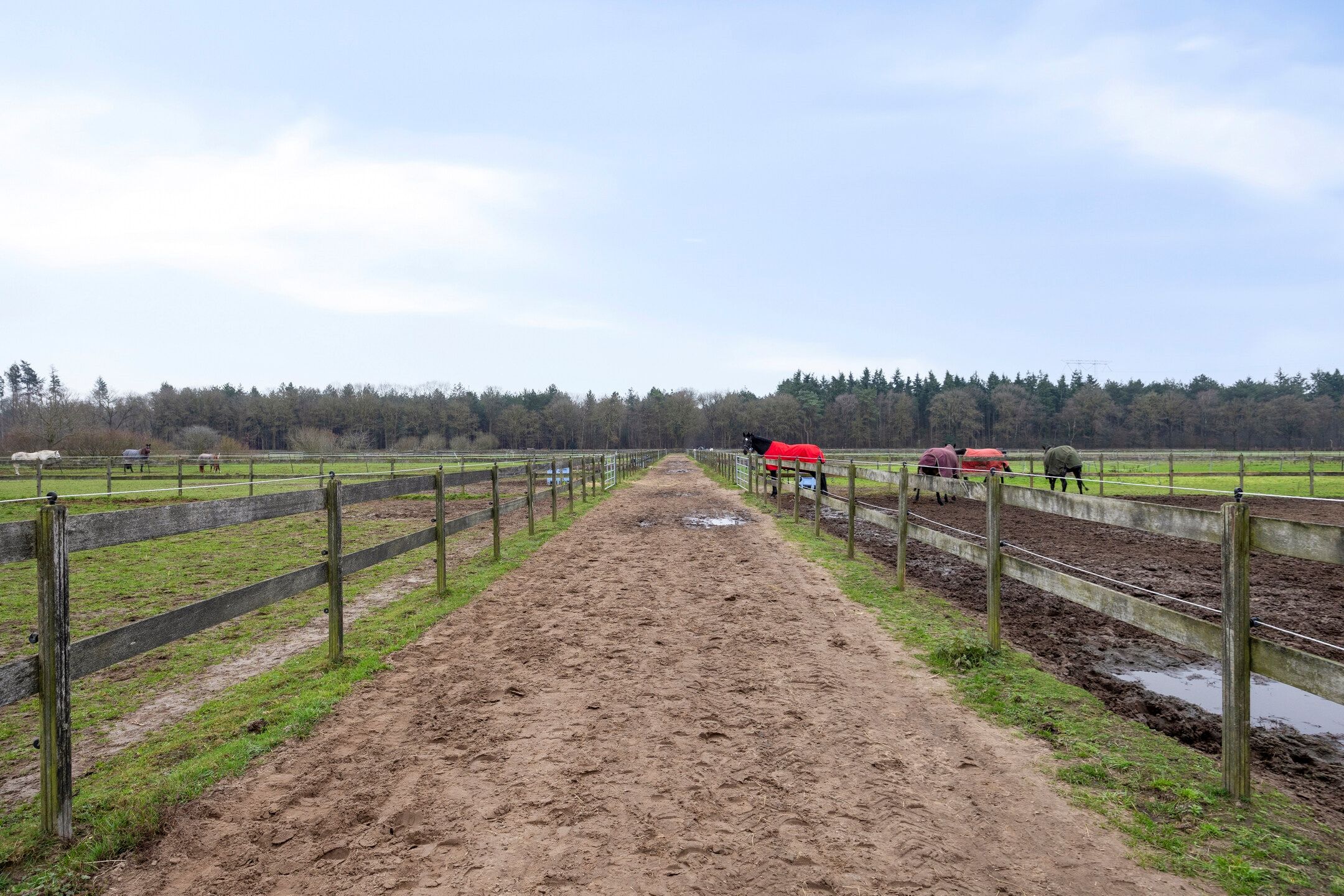 Photo 3 of Sonniuswijk 37