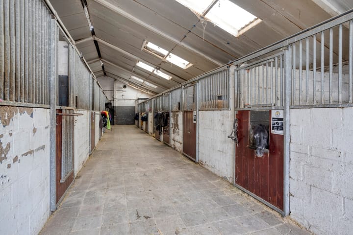 Foto 10 van Sonniuswijk 37