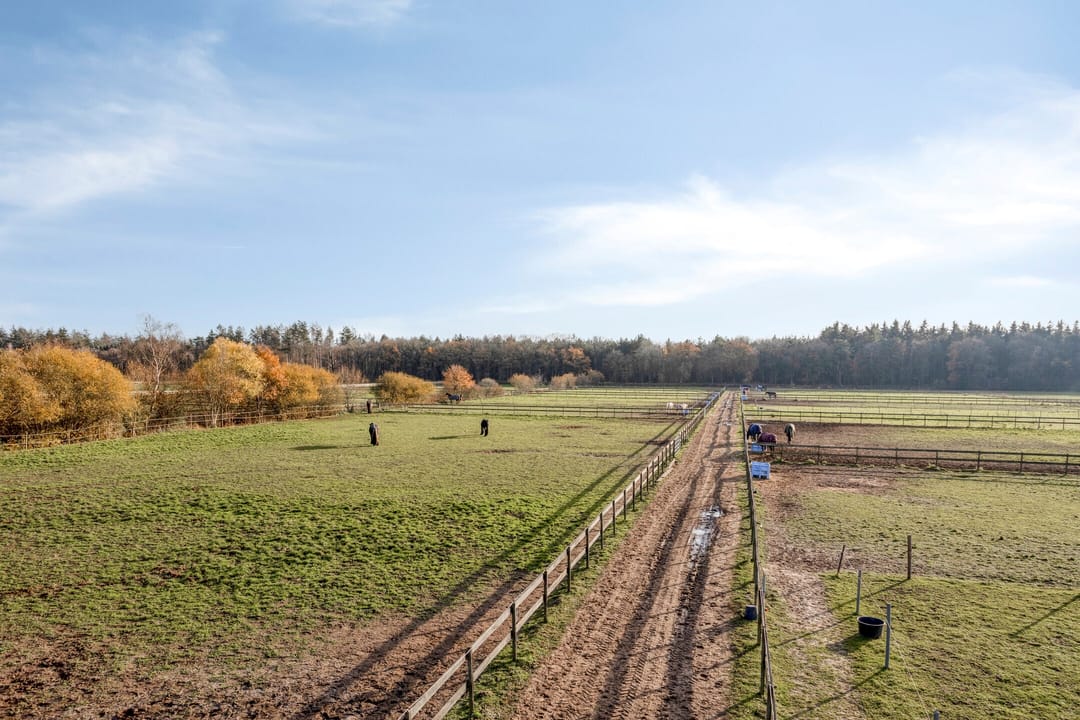 Photo 11 of Sonniuswijk 37
