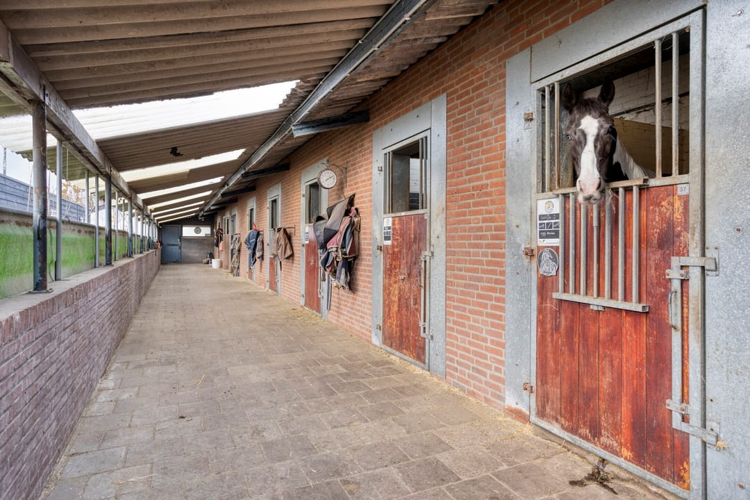 Photo 23 of Sonniuswijk 37