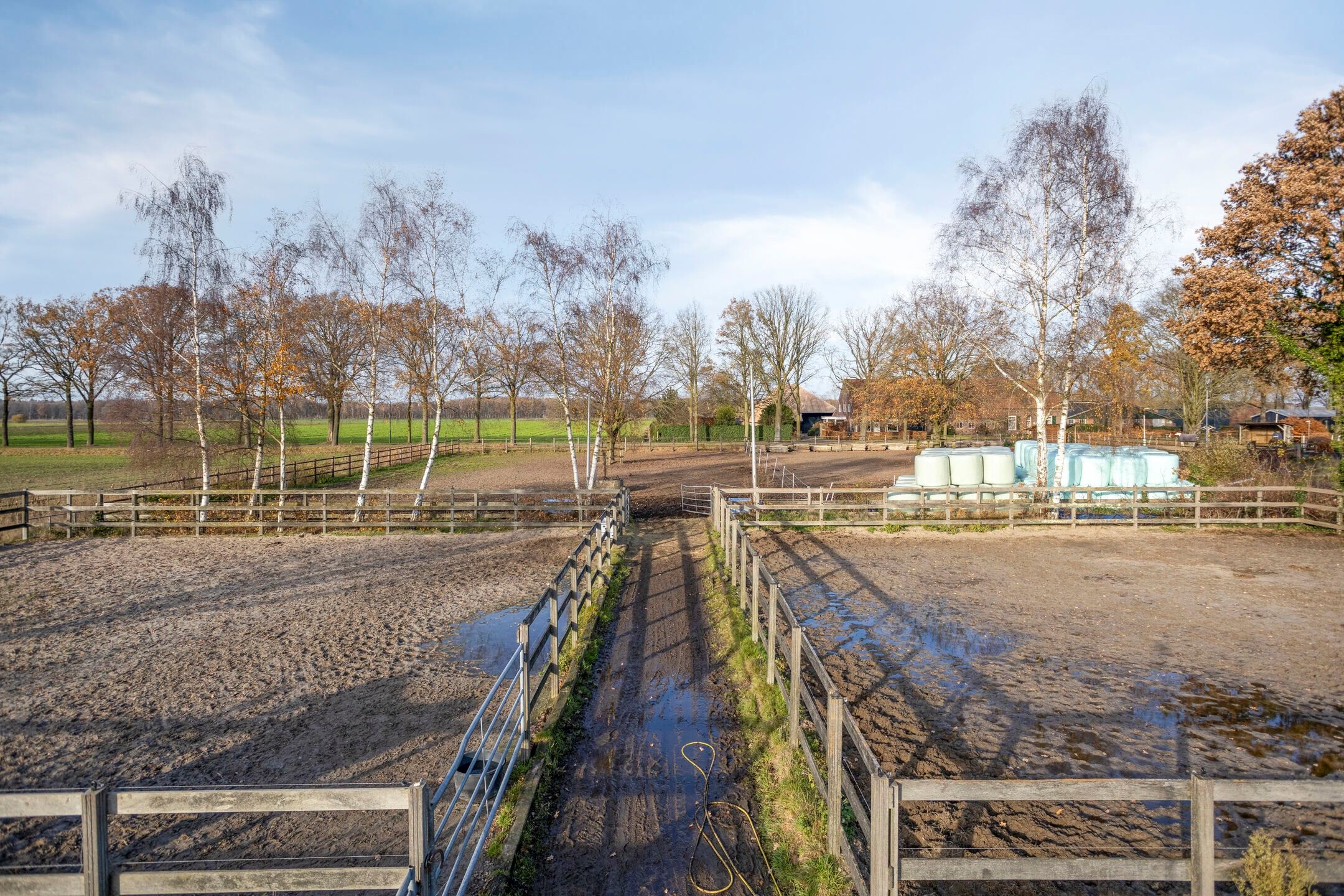 Photo 30 of Sonniuswijk 37