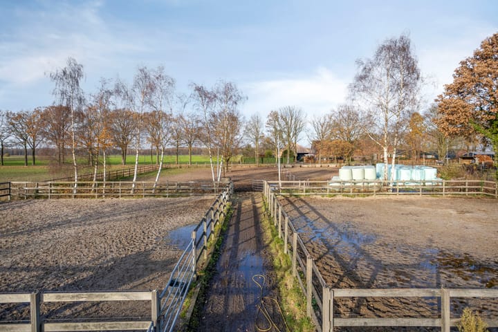 Foto 30 van Sonniuswijk 37