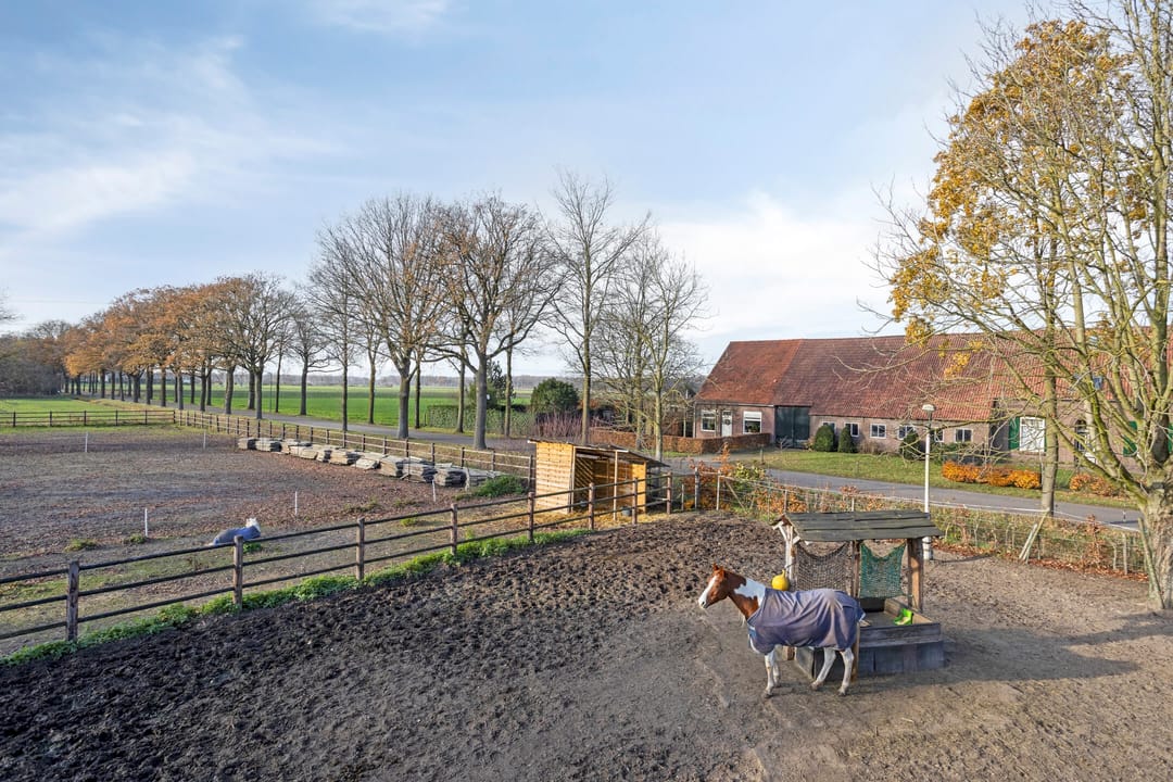 Photo 31 of Sonniuswijk 37