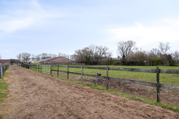 Foto 32 van Sonniuswijk 37