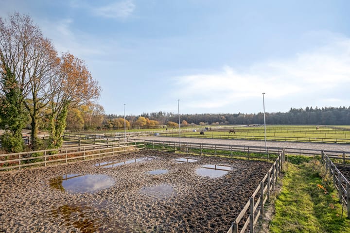 Foto 33 van Sonniuswijk 37