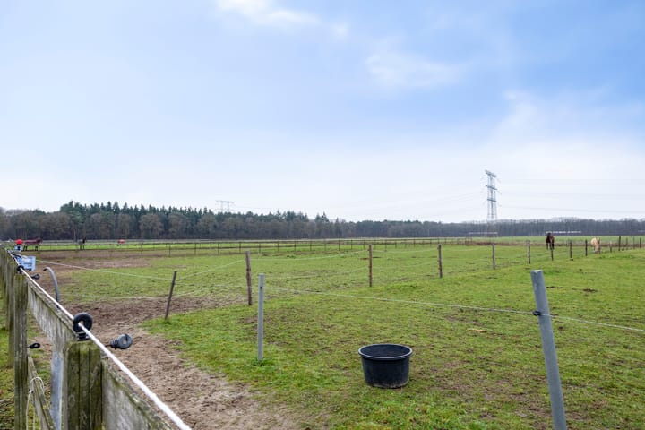 Foto 35 van Sonniuswijk 37