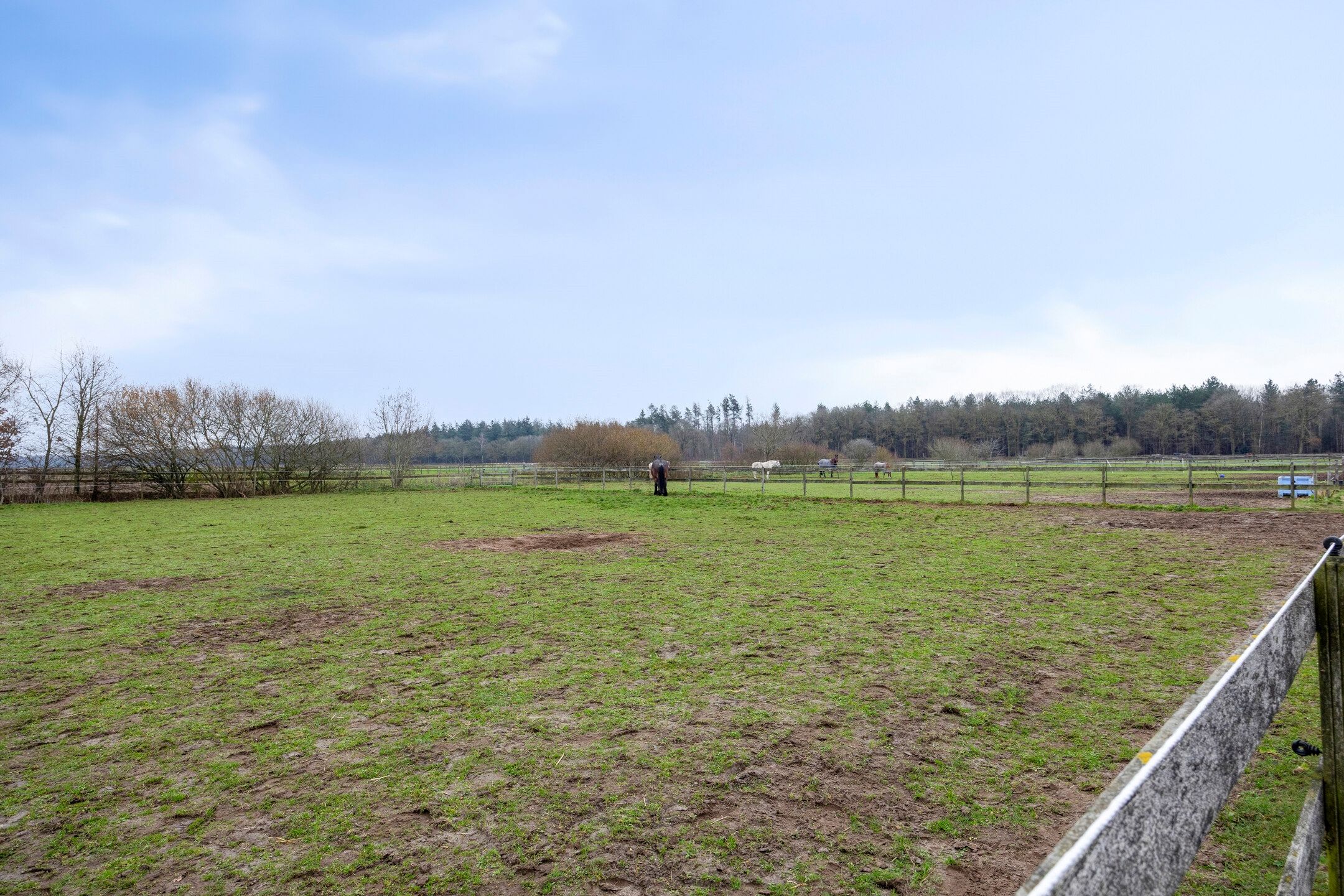 Photo 36 of Sonniuswijk 37