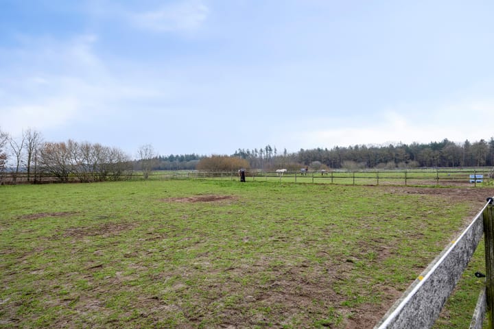 Foto 36 van Sonniuswijk 37