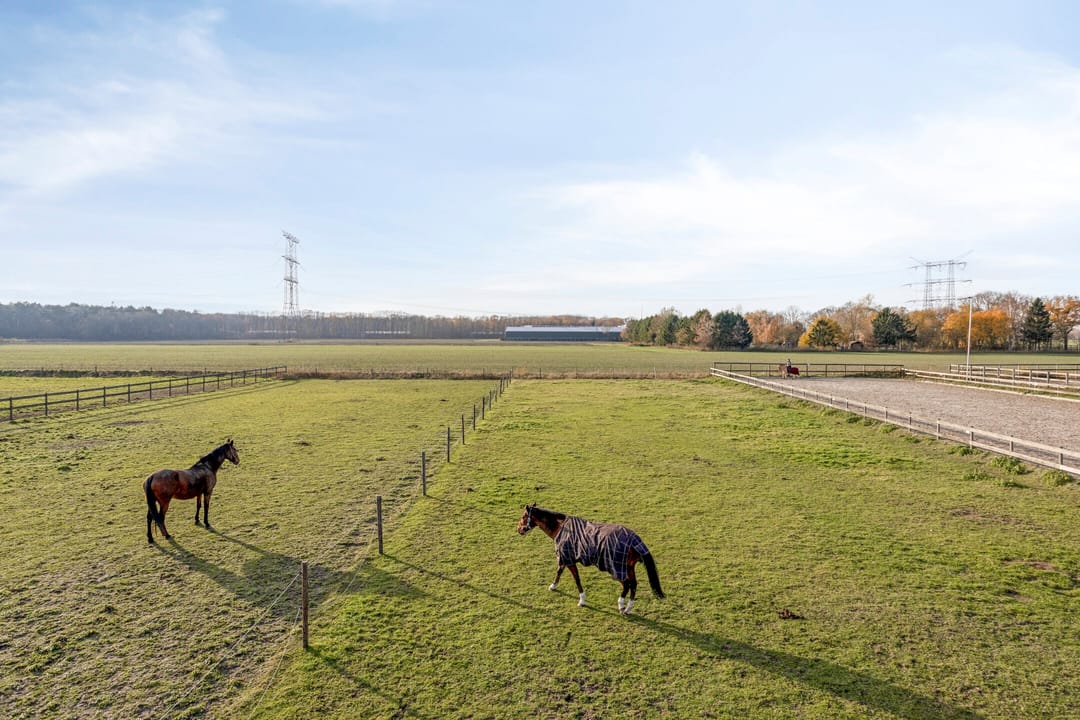 Photo 37 of Sonniuswijk 37