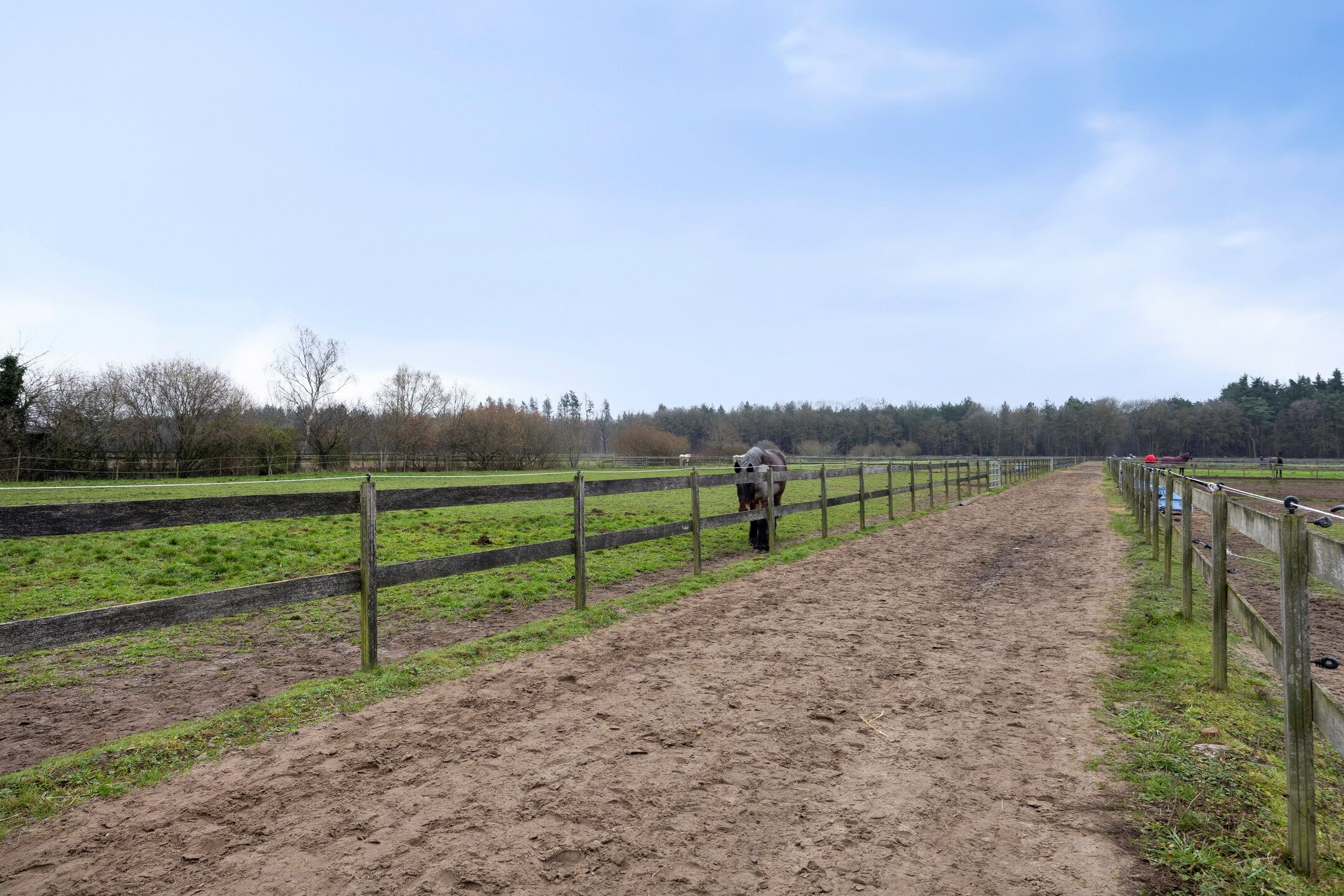 Photo 39 of Sonniuswijk 37
