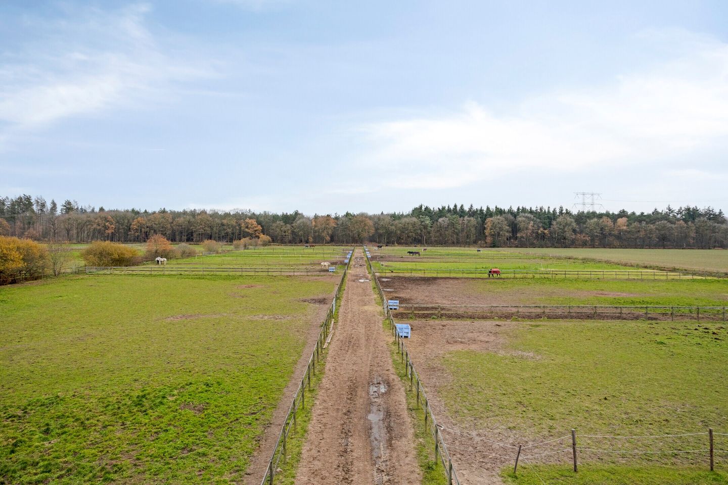 Photo 40 of Sonniuswijk 37