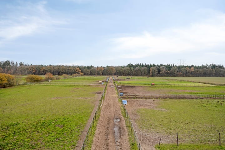 Foto 40 van Sonniuswijk 37