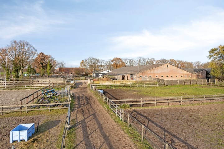 Foto 50 van Sonniuswijk 37