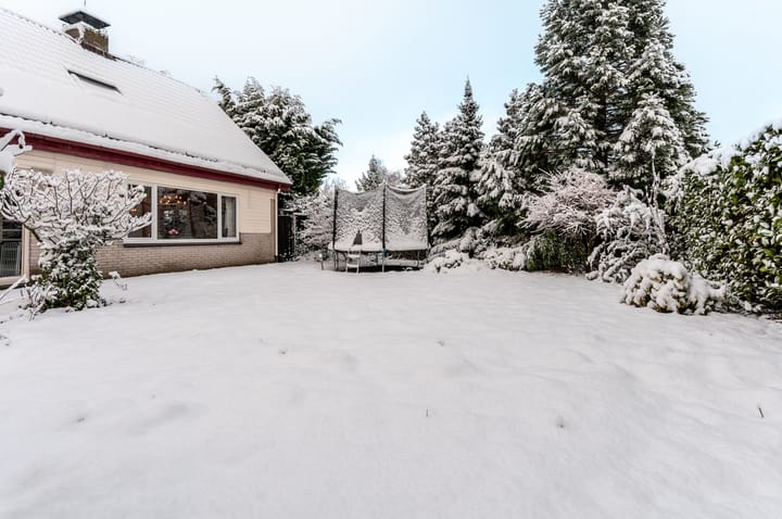 Foto 22 van Kempenaar 02 35